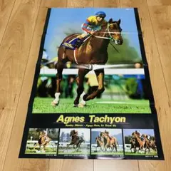 2025年最新】アグネスタキオン ポスターの人気アイテム - メルカリ