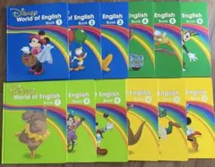 ほぼ未使用　DWE ライトライトペン 最新版　動作確認済◎ DWE 最新版対応ライトライトペン 動作確認済み DWE ライトライトペン