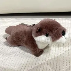 カワウソ ぬいぐるみ キーホルダー　カワウソのこども　マスコット