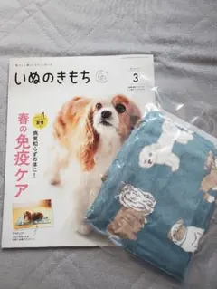 Item thumbnail for item 45ed2300-83bc-4d69-bbf4-2a56c73e7577