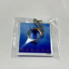 とた Sebone 脊椎盤 脊髄盤 楽天ブックス先着特典 アクリルキーホルダー