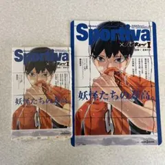 2026年最新】ハイキュー ショーセツバン 全巻 ビジュアルボードの人気