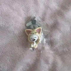 Stray Kids つまんでつなげてますこっと ジニレット