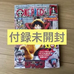 【即日発送】ONE PIECE ワンピースマガジン vol.20 新品・未使用