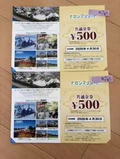 ナガシマリゾート 金券 500円 2枚