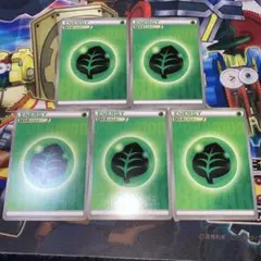 ピ*丸様 ポケモンカード 草エネルギー 2015年産5枚セット