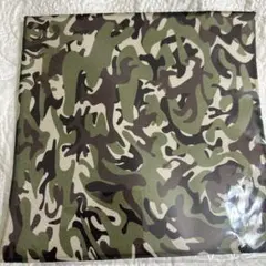 Item thumbnail for item dab0bd9b-835a-431d-b14f-4225c1942175