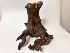 天然根流木(珍しい型)