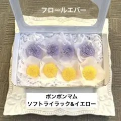 Item thumbnail for item 6124c27f-dc37-44b7-9184-e9fdfb6c3eb5