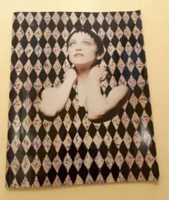 2025年最新】マドンナ パンフの人気アイテム - メルカリ