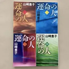 送料込み 匿名配送 運命の人 1〜4