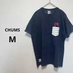 CHUMS チャムス　M Tシャツ　半袖　ポケット　ボーダー　ネイビー
