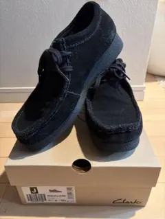 Clarks Wallabee EVO ブラックスエード