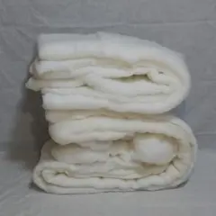 Item thumbnail for item 0d609b8a-a68a-4578-96f6-40d311e33d70