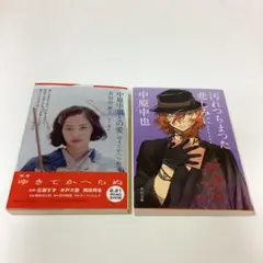 「中原中也との愛 ゆきてかへらぬ」と「汚れつちまつた悲しみに…… 中原中也詩集」
