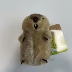 【新品未使用】もっともーっとマーモット★やまもと　全長11cmほど