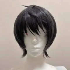 あんスタ 朔間 凛月 ウィッグ