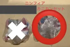 ポケモン つまんでつなげてマスコット　ニンフィア