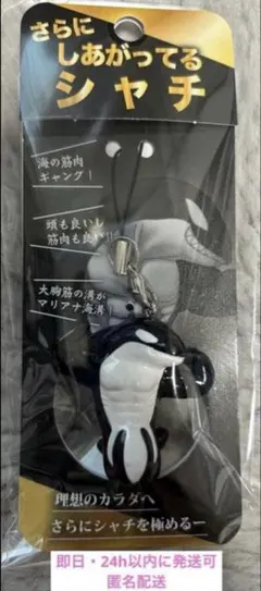 【新品未開封】さらに　しあがってるシャチ　須磨シーワールド　岩本照　即日発送可能