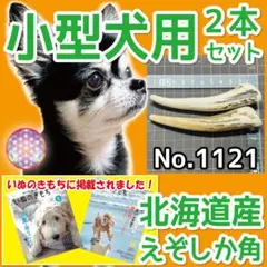 超小型犬用 エゾ鹿の角 根元 4半割り 2本 北海道産 犬のおもちゃ 09216