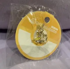 ポケモンセンター イヤーカフ アローラライチュウ 未使用品