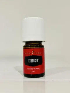 2025年最新】エクソダスIIの人気アイテム - メルカリ