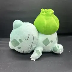 フシギダネ　すやすやぬいぐるみ ポケモン Amazon.co.jp: ポケモン すやすやフレンド ぬいぐるみ S