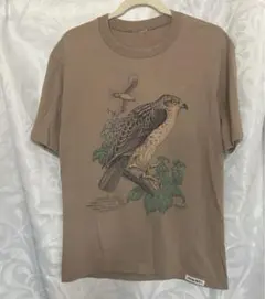 Item thumbnail for item 87191f50-990a-48ea-9600-eb9180596186