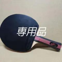 【ちゃま。様専用品】バイオリンカーボンインナー