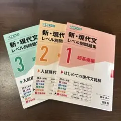 新・現代文 レベル別問題集 1・2・3セット