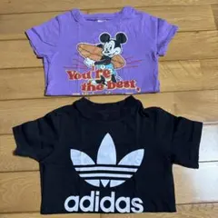 Item thumbnail for item cac5e4c6-9301-453c-8395-2b2856607329