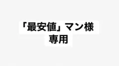 「最安値」マン様専用