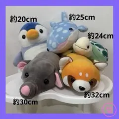 海遊館 ぬいぐるみ サメ CUTE ゾウ レッサーパンダ ペンギン 亀のサムネイル