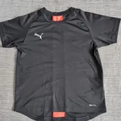 PUMA DRYCELL Tシャツ 140ブラック/オレンジ