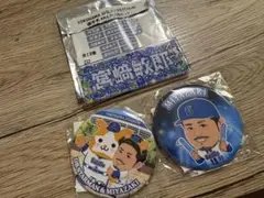 宮崎敏郎（横浜DeNAベイスターズ）