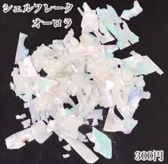 ネイルパーツ シェルフレーク オーロラのサムネイル