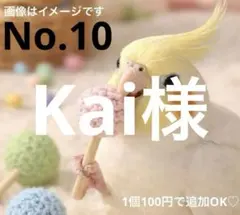 Kai様専用出品 2点