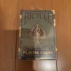 Item thumbnail for item 5dc28f95-8df3-452c-9519-e3a74f566cf3