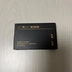 Stray Kids スキズ ポラロイド セット 2019