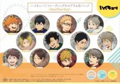 ハイキュー!! トレーディングホログラム缶バッジ One Fine Day！