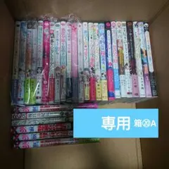 Asami Matsuo 様 専用 箱⑳A