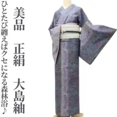 美品 正絹 着物“ひとたび纏えばクセになる森林浴♪”大島紬 P-63