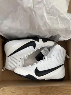 Item thumbnail for item 338793b4-26f7-494f-a534-fa37835b16c8