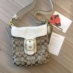 Item thumbnail for item 13b0b826-317f-471f-ae72-f8ee7658942b