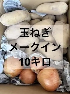 じゃがいも　玉ねぎ　10キロのサムネイル