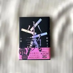 小説 / 野崎まど