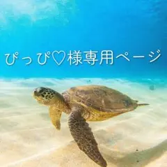 ぴっぴ♡様オーダーページになります♡