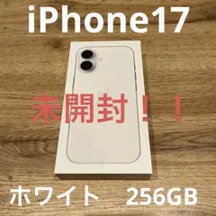 iphone17 256gb
