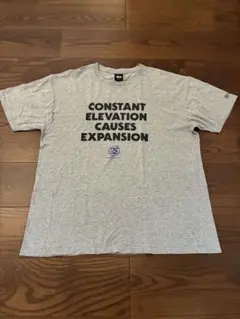 Stüssy ステューシー Tシャツ Lサイズ グレーのサムネイル
