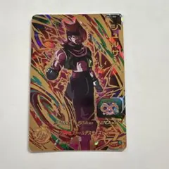 シュルサ URカード TTJKさん専用！